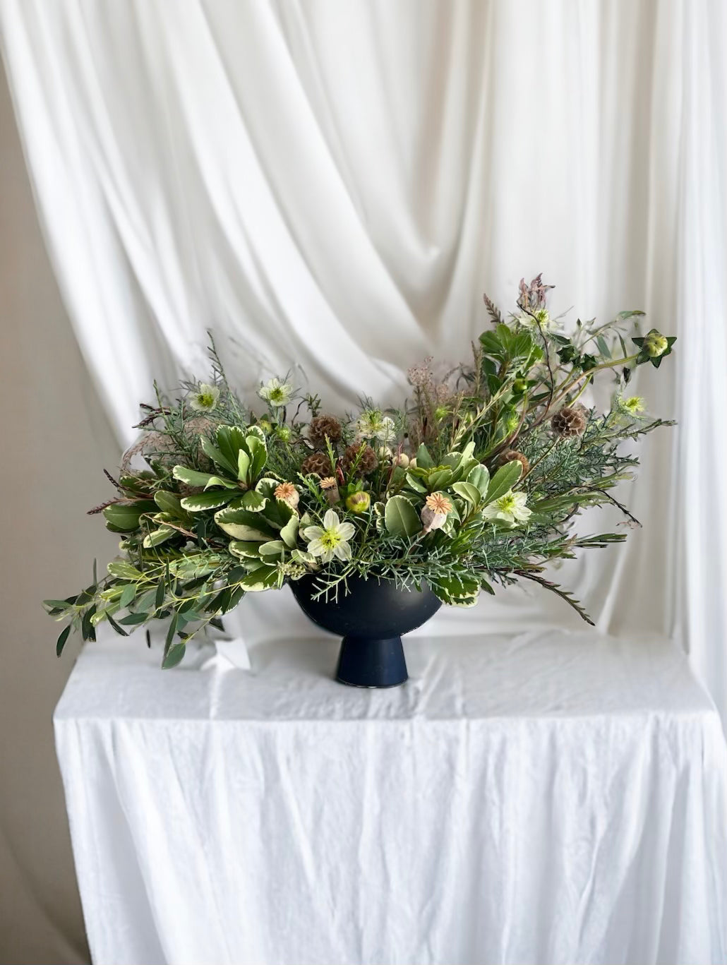 Wild and Whimsical