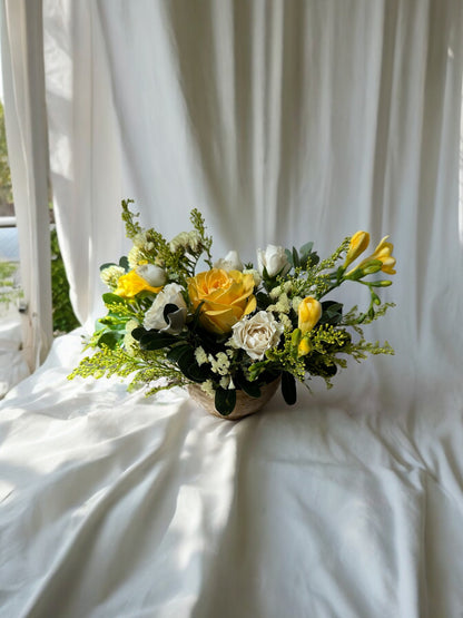 Wild and Whimsical